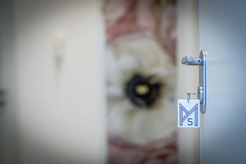 Bild från Madrugada apartments, Hotell i Kroatien